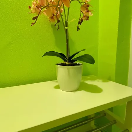 Apartment Gergana_apartament